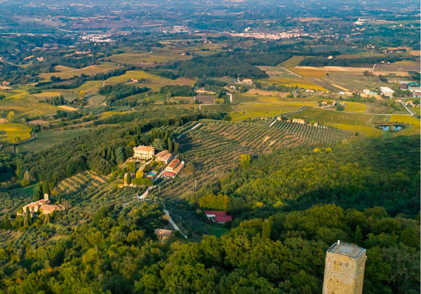 Merlot Histórico 🍷 Diretamente da Toscana.