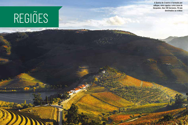 8 razões para garantir seu  ADEGA Portugal de Vinhos agora mesmo!