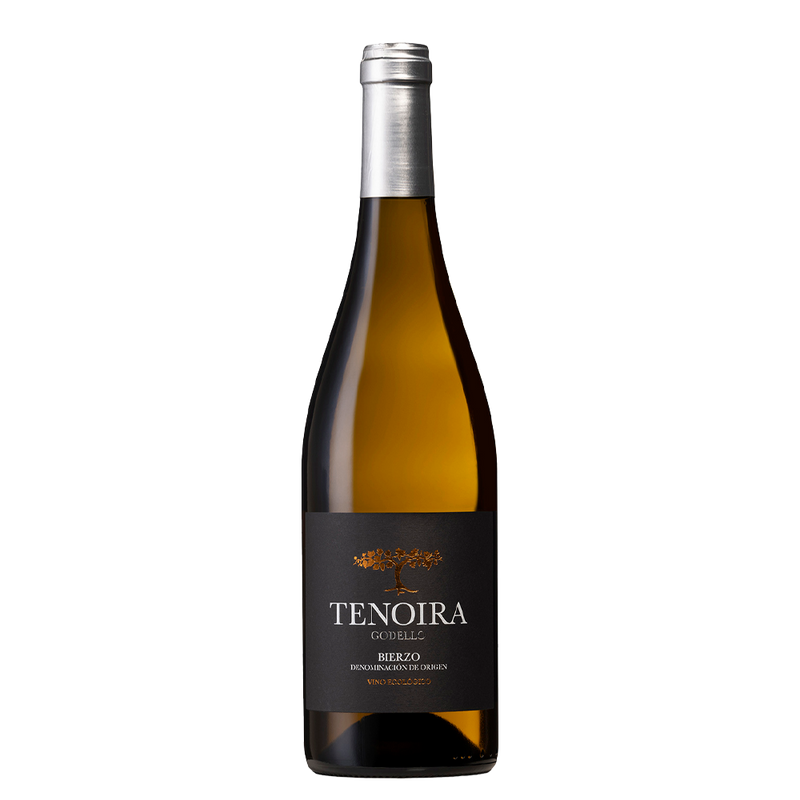 Tenoira Godello 2022