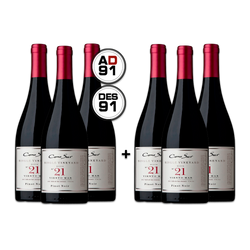 Cono Sur Single Vineyard Pinot Noir Block 21 "Viento Mar" 2021 - Promoção de Aniversário - Leve 6 Pague 3