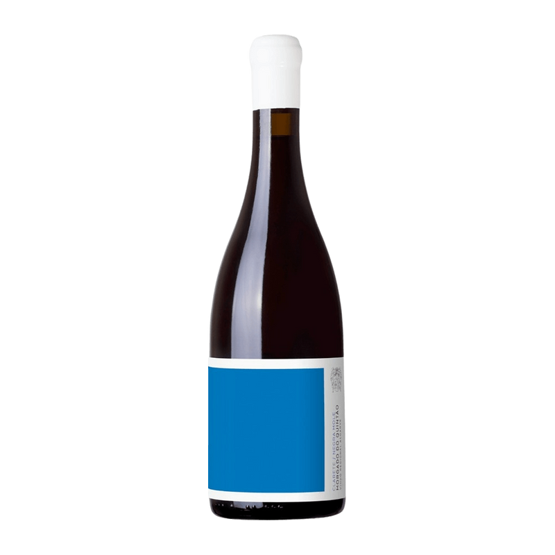 Vinho Morgado do Quintão Tinto Seco Portugal Clairette 2024 750ml