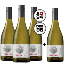 Terrunyo Sauvignon Blanc 2020 - Promoção de Aniversário - Leve 4 Pague 3