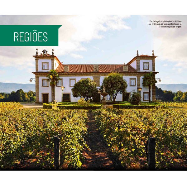 ADEGA Portugal Guia de Vinhos 2021